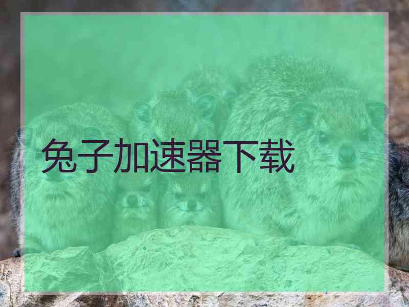 兔子加速器下载