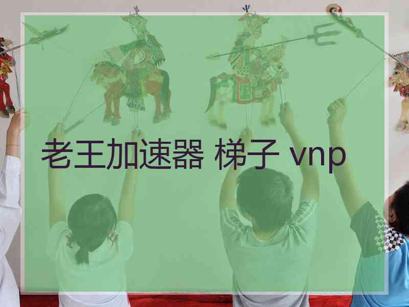 老王加速器 梯子 vnp