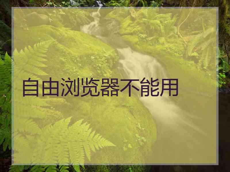 自由浏览器不能用