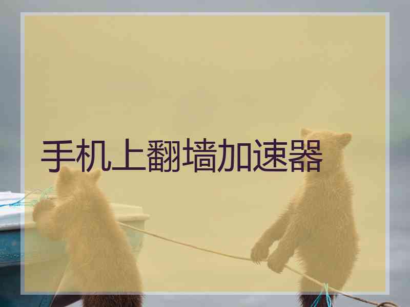 手机上翻墙加速器