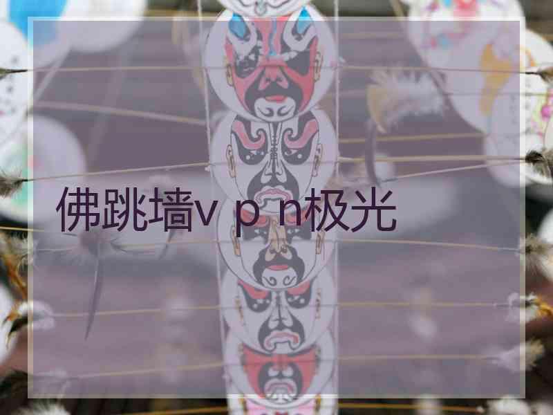 佛跳墙v p n极光