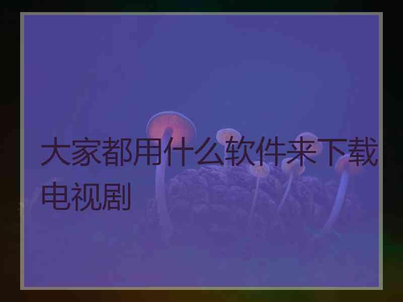 大家都用什么软件来下载电视剧