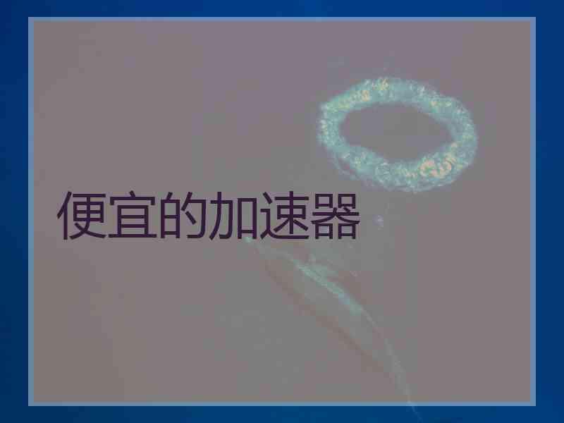 便宜的加速器