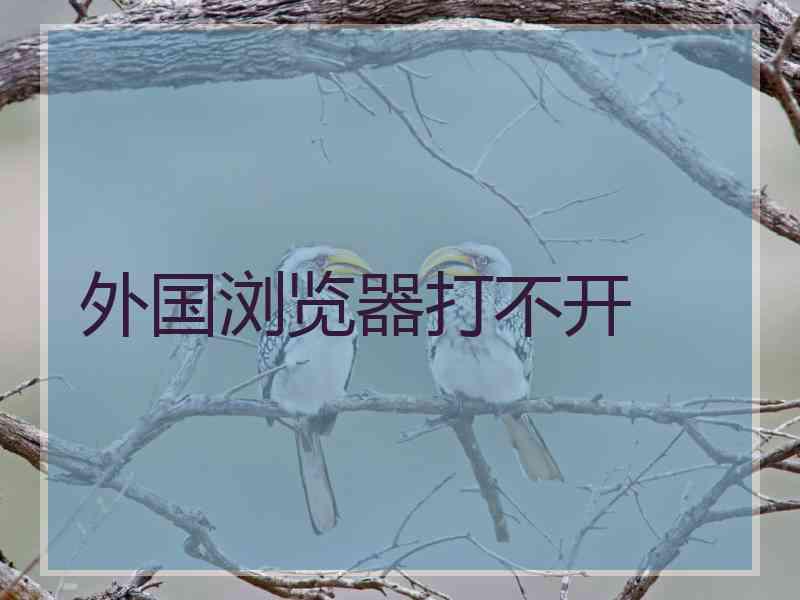 外国浏览器打不开