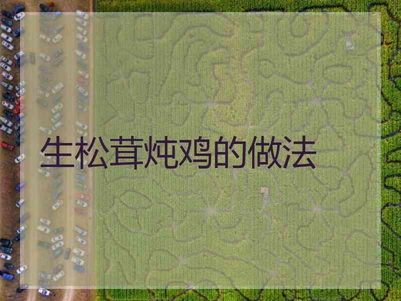 生松茸炖鸡的做法
