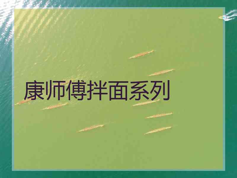 康师傅拌面系列