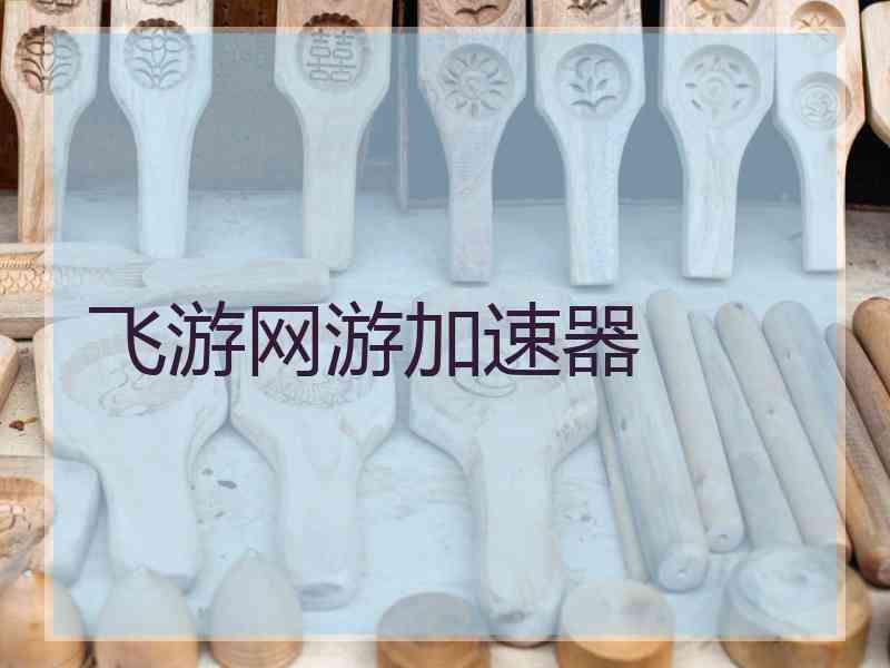 飞游网游加速器