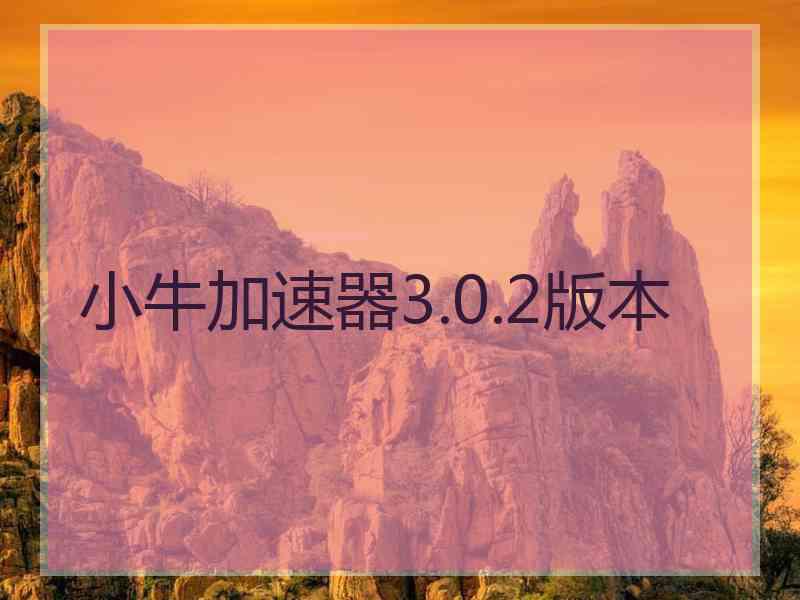 小牛加速器3.0.2版本