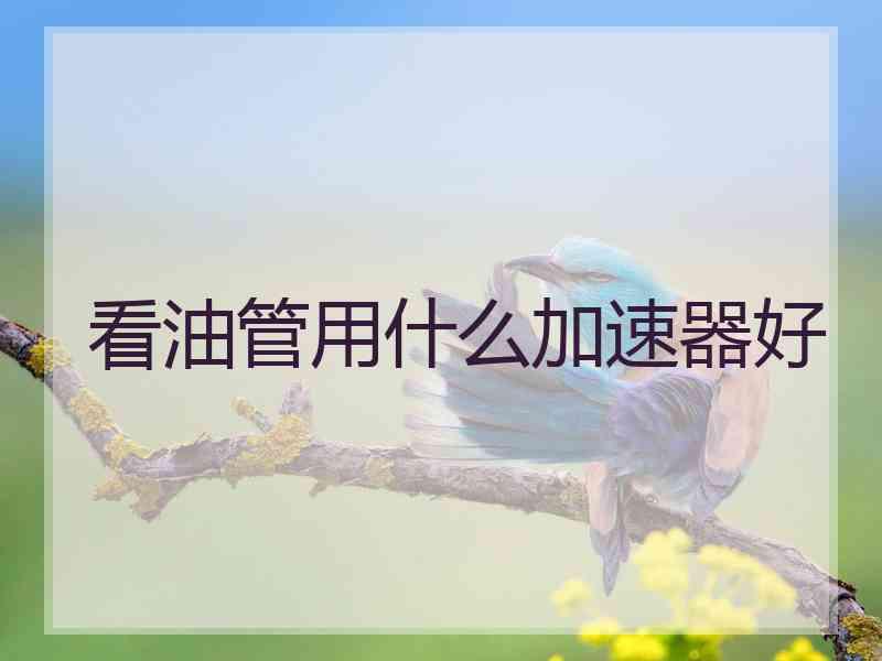 看油管用什么加速器好