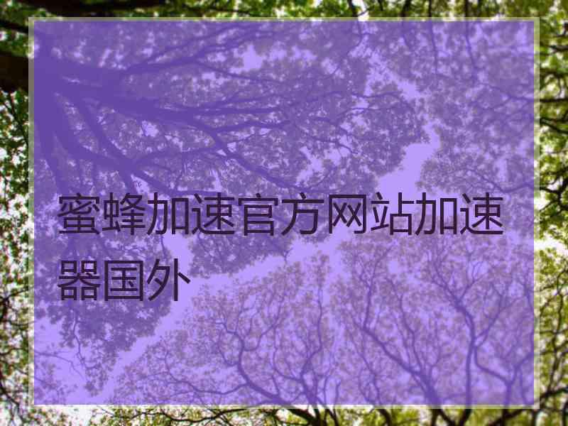 蜜蜂加速官方网站加速器国外