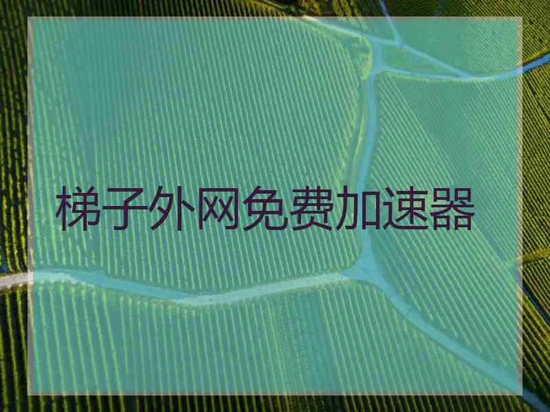 梯子外网免费加速器