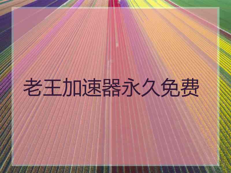 老王加速器永久免费