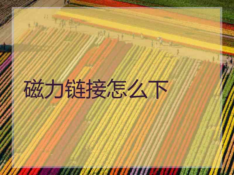 磁力链接怎么下