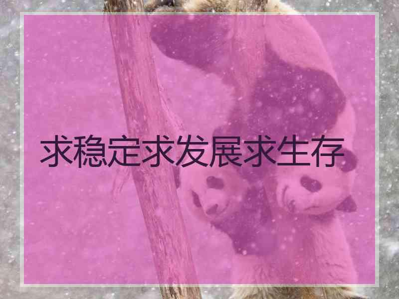 求稳定求发展求生存