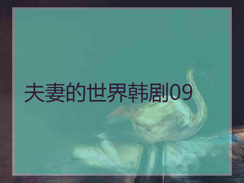 夫妻的世界韩剧09