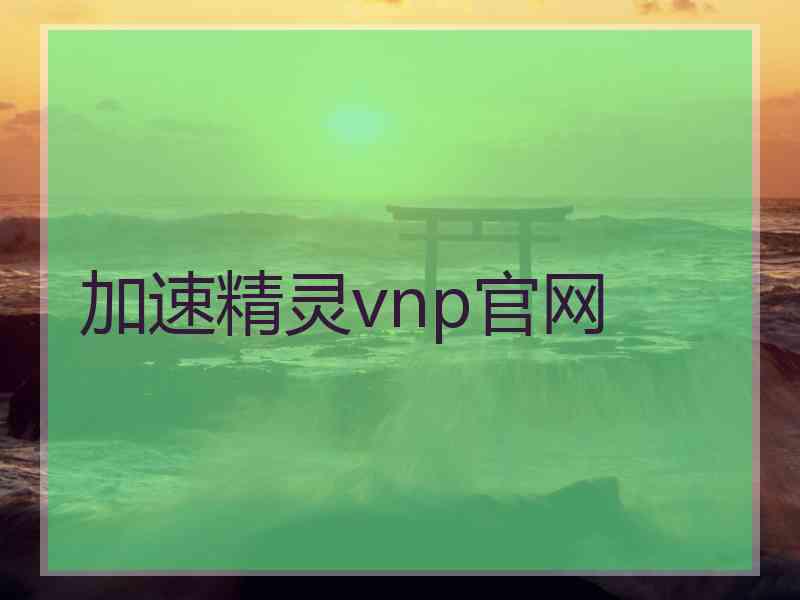 加速精灵vnp官网