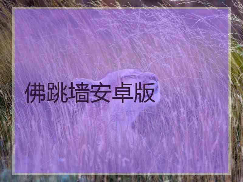 佛跳墙安卓版