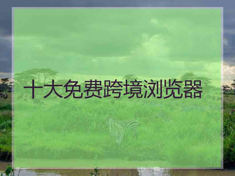 十大免费跨境浏览器