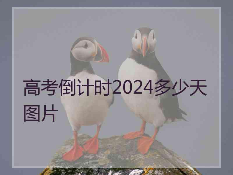 高考倒计时2024多少天图片