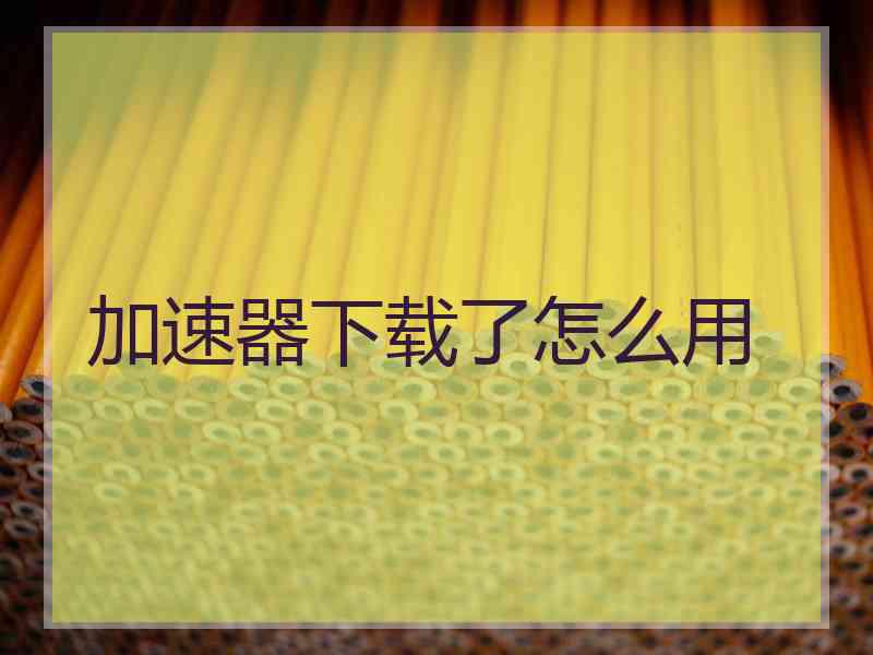 加速器下载了怎么用