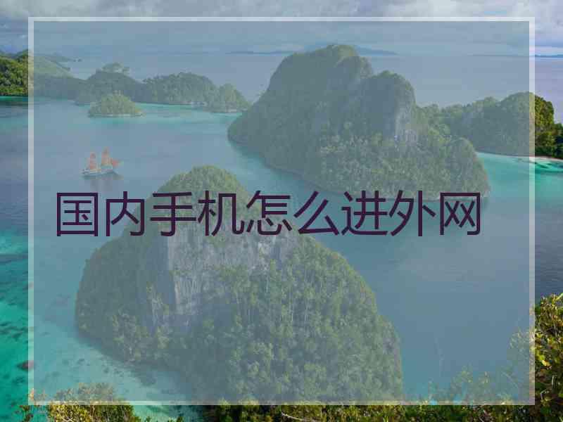 国内手机怎么进外网