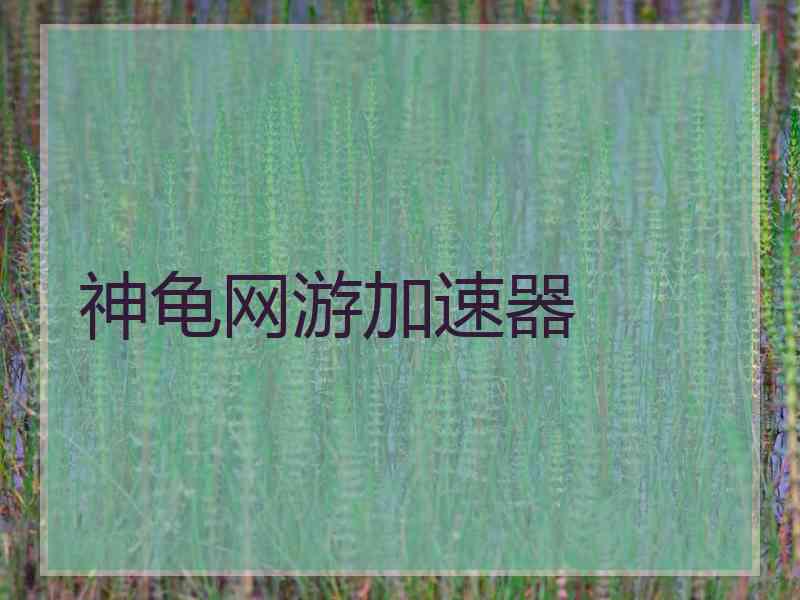 神龟网游加速器
