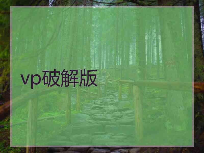 vp破解版