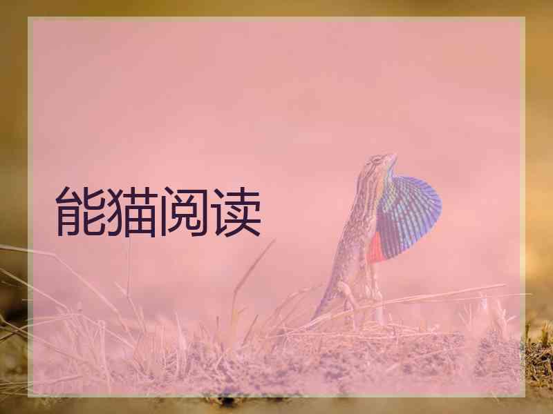 能猫阅读