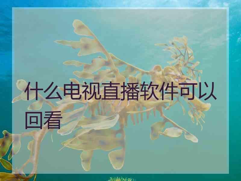 什么电视直播软件可以回看
