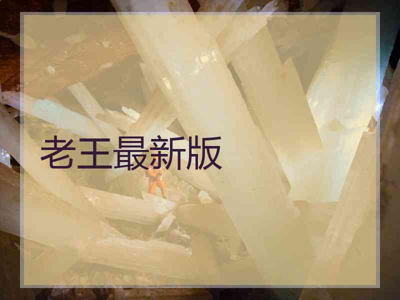 老王最新版
