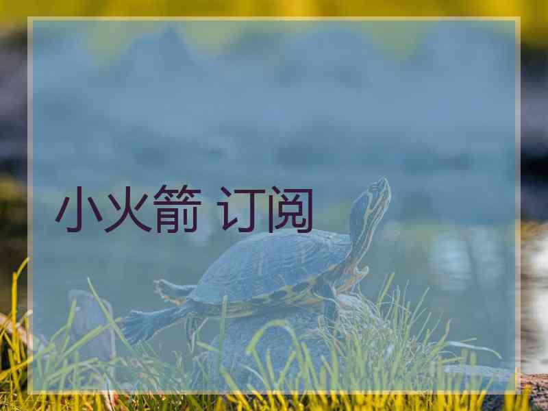 小火箭 订阅