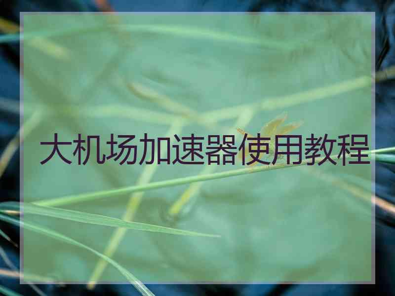 大机场加速器使用教程