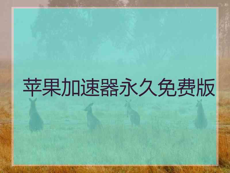 苹果加速器永久免费版