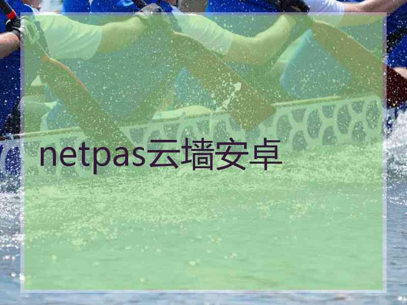 netpas云墙安卓