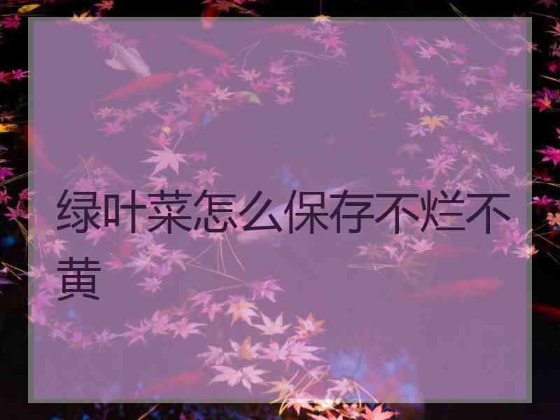 绿叶菜怎么保存不烂不黄