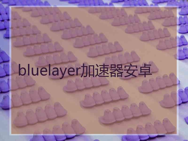 bluelayer加速器安卓