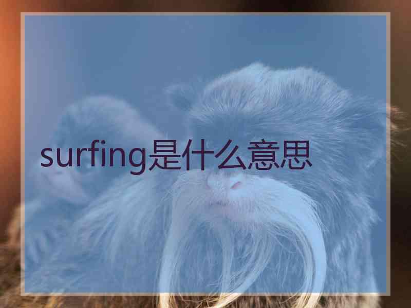 surfing是什么意思