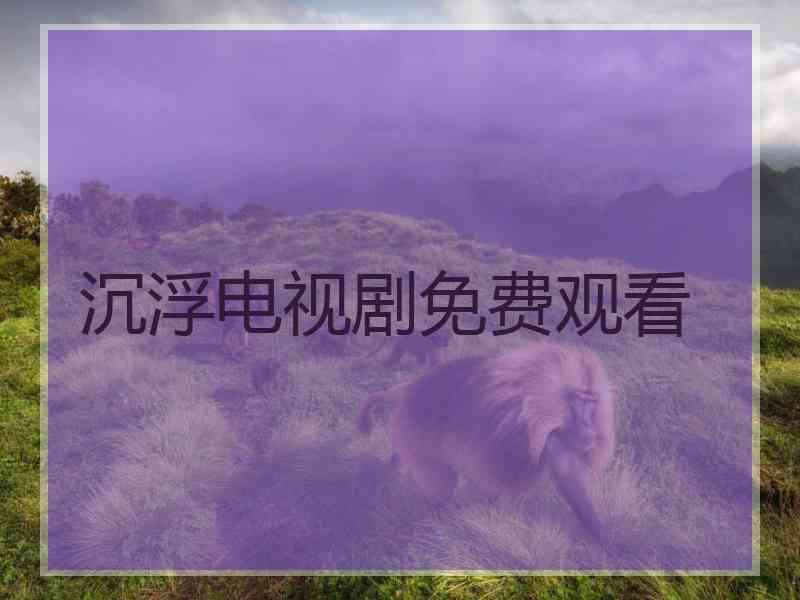 沉浮电视剧免费观看