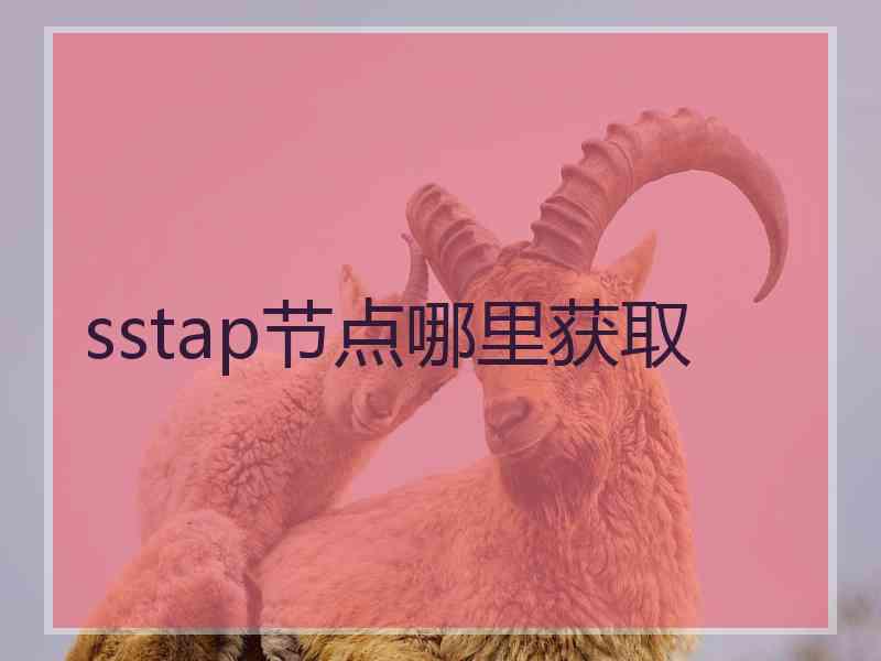 sstap节点哪里获取