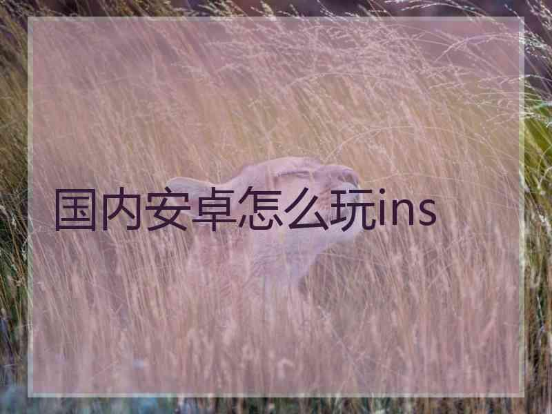 国内安卓怎么玩ins