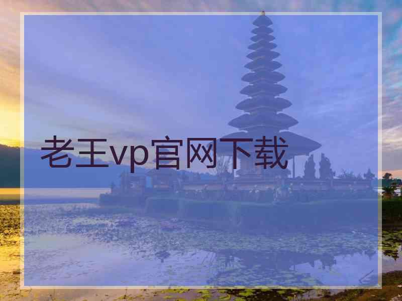 老王vp官网下载
