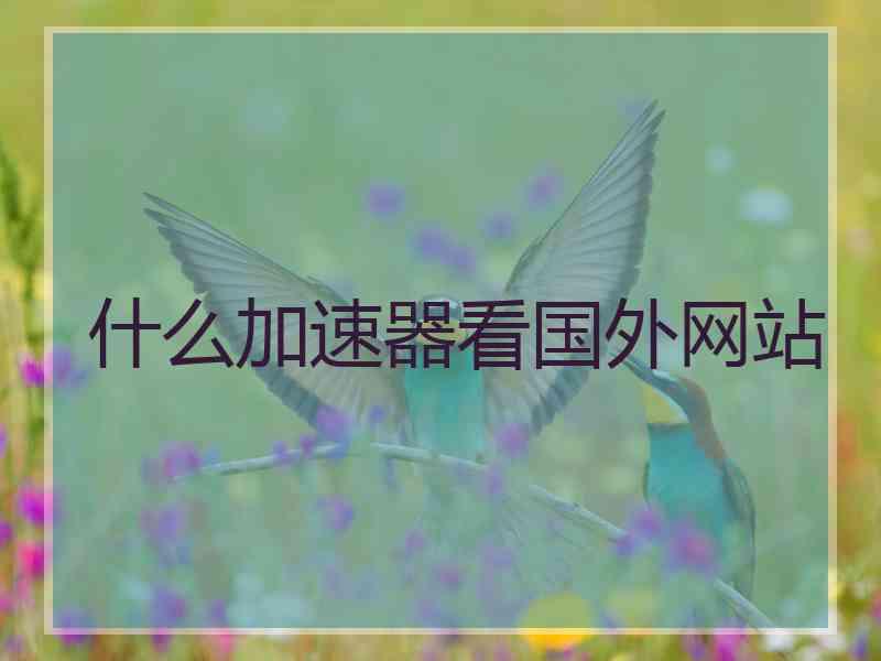 什么加速器看国外网站