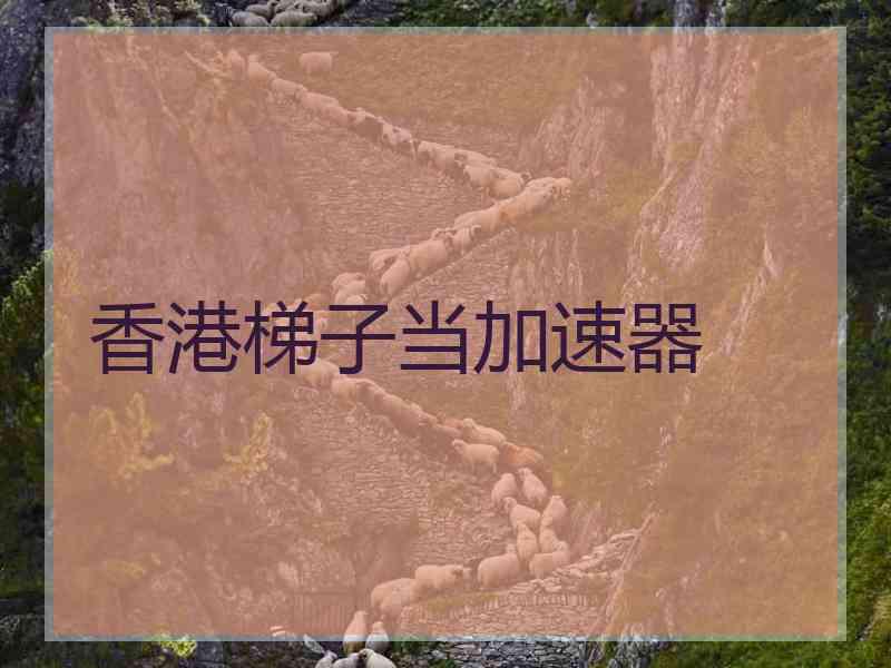 香港梯子当加速器