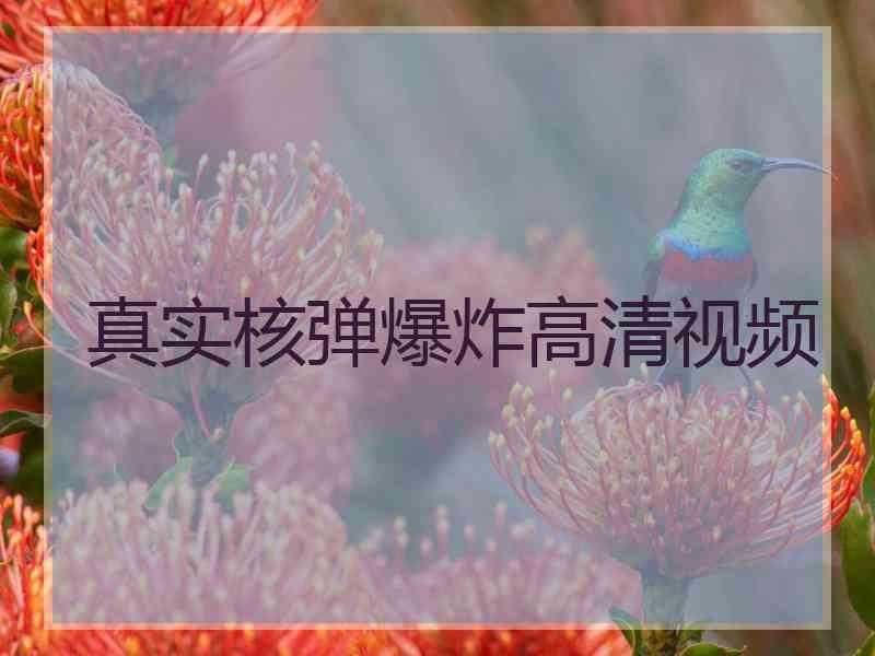真实核弹爆炸高清视频