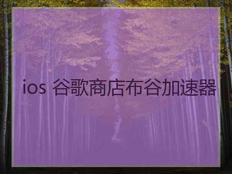 ios 谷歌商店布谷加速器