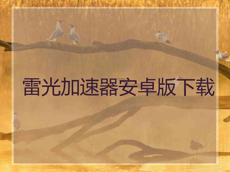 雷光加速器安卓版下载
