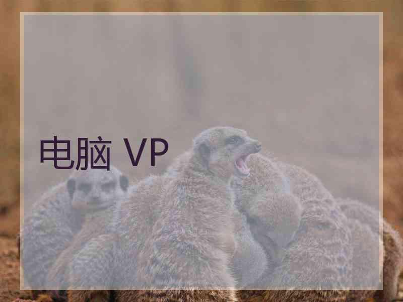 电脑 VP