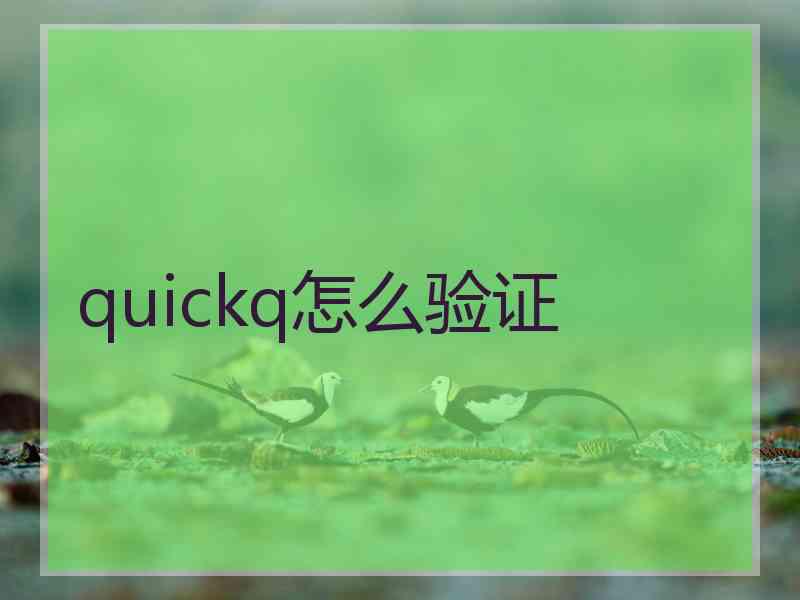 quickq怎么验证