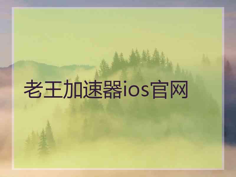 老王加速器ios官网