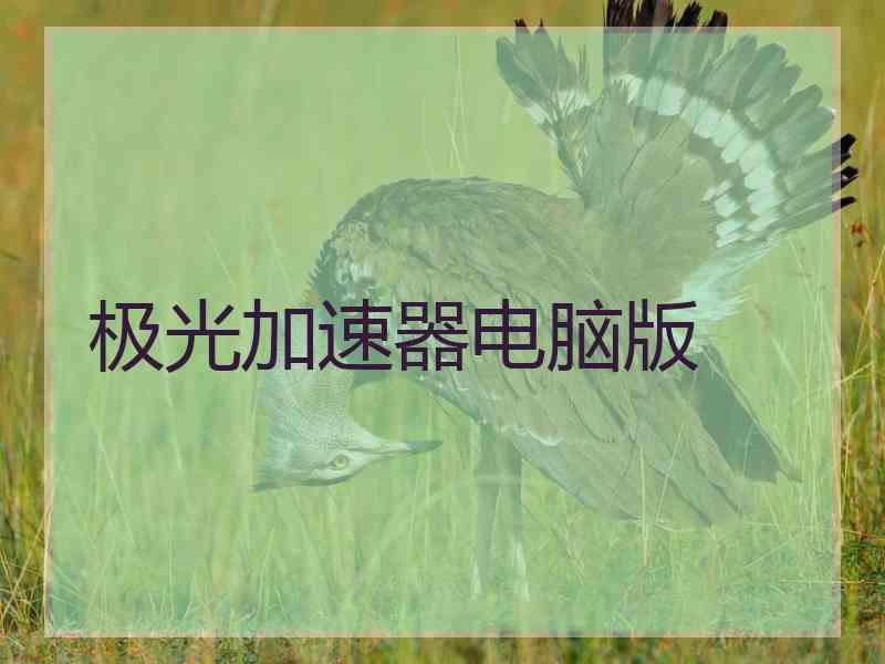 极光加速器电脑版